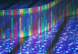 Ученые впервые расшифровали полный геном человека