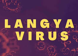 Угроза новой пандемии? В Китае обнаружен смертельно опасный вирус