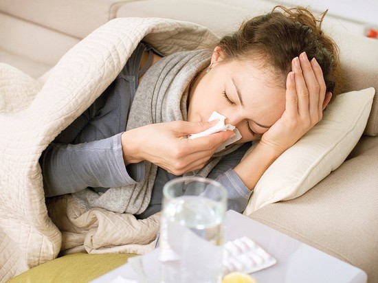 Пик заболеваемости гриппом может наступить к новогодним праздникам